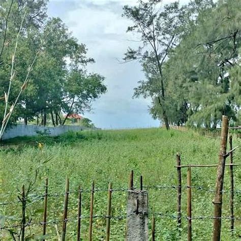 zambales beach lot for sale|Beachfront zambales .